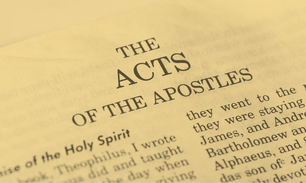 7 Marks of the Apostolic Mission
